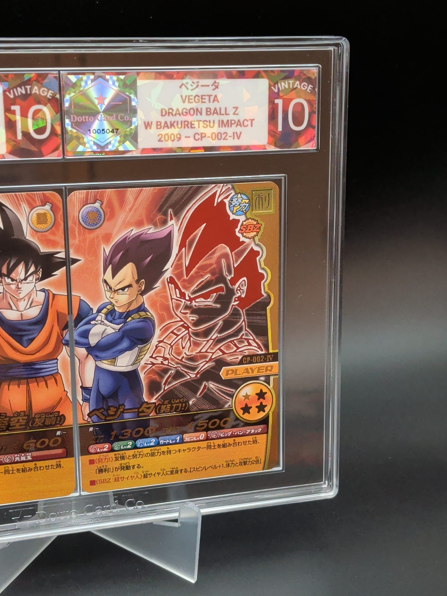 ベジータ - Vegeta - CP-002-IV - 2009 — front of slab