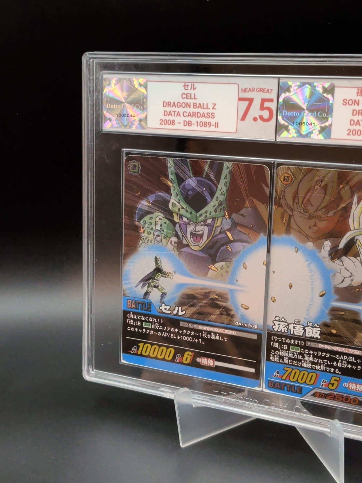 セル - Cell - DB-1089-II - 2008 — front of slab