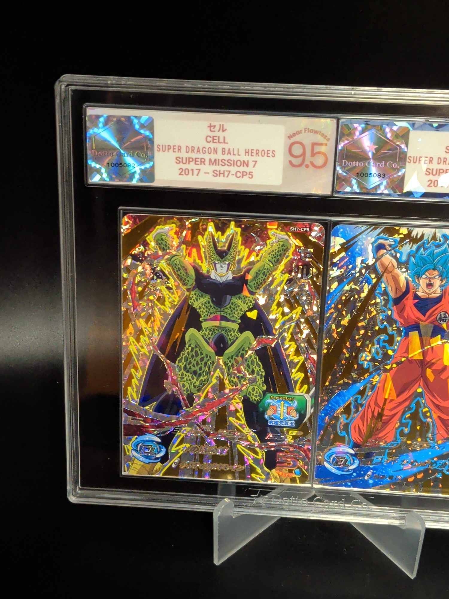 セル - Cell - SH7-CP5 - 2017 — front of slab