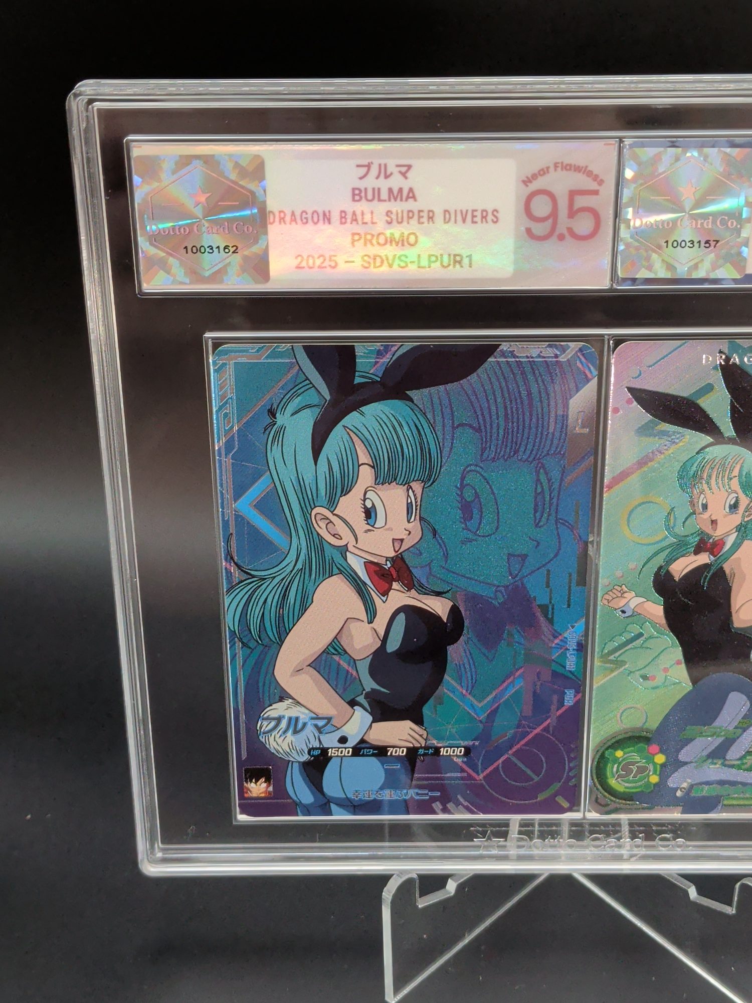 ブルマ - Bulma - SDVS-LPUR1 - 2025 — front of slab