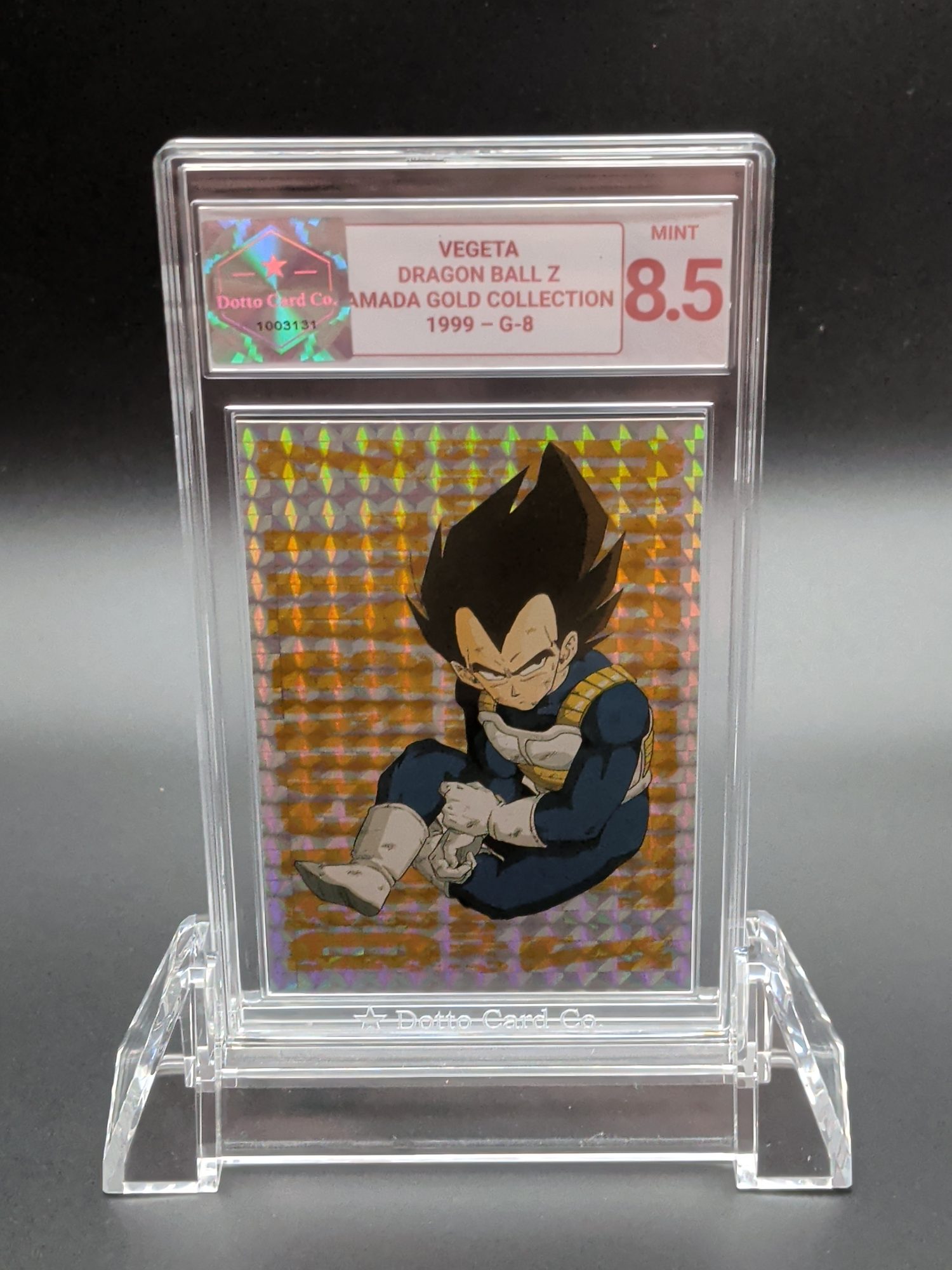 Vegeta - G-8 - 1999 — front of slab