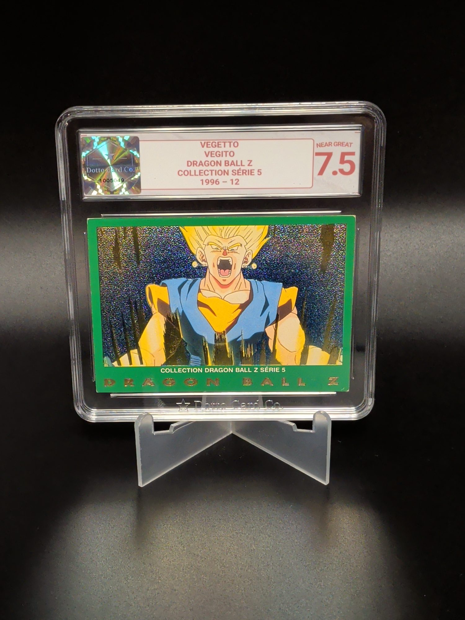 Vegetto - Vegito - 12 - 1996 — front of slab
