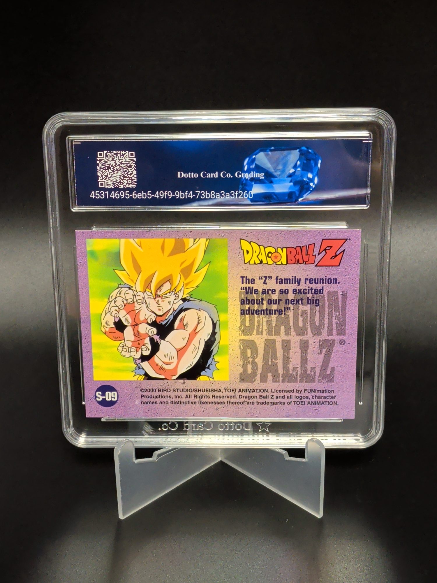 The 'Z' Family Reunion - S-09 - 2000 — back of slab