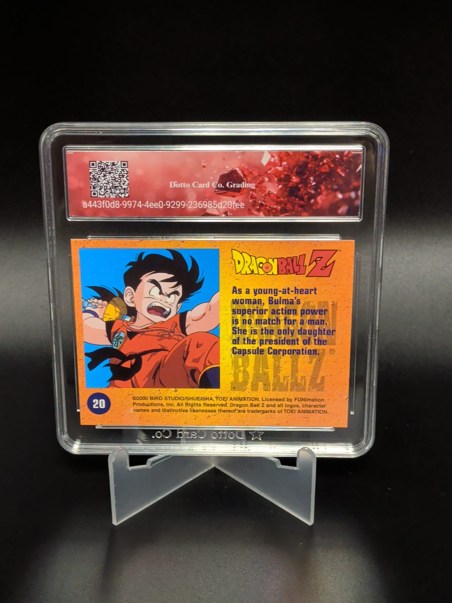 Bulma - 20 - 2000 — back of slab