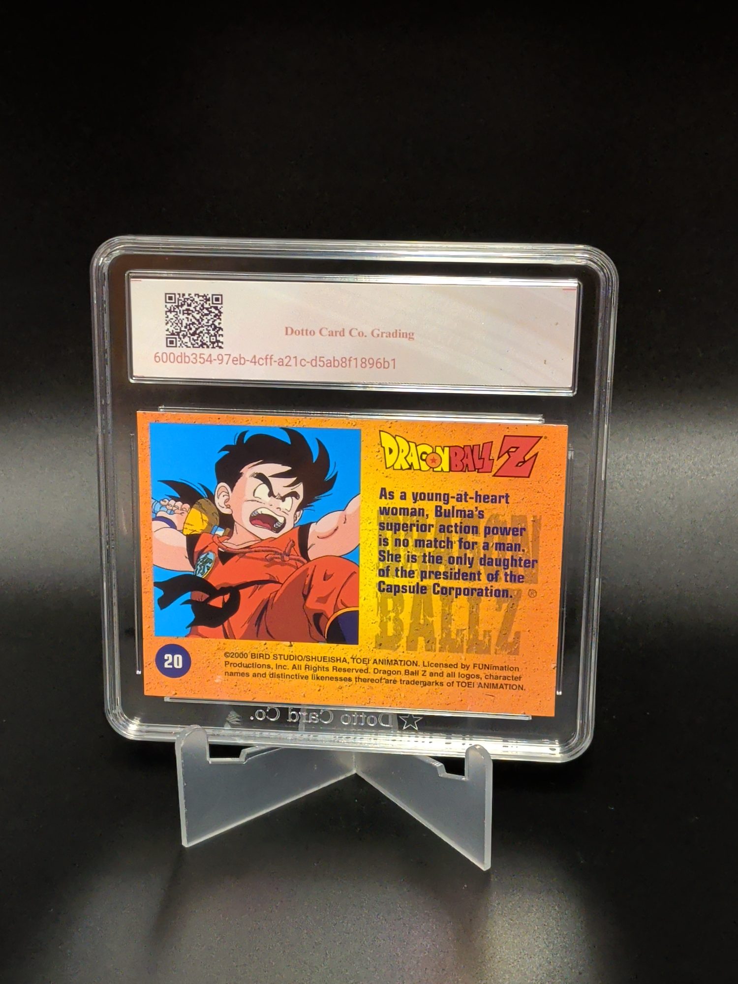 Bulma - 20 - 2000 — back of slab