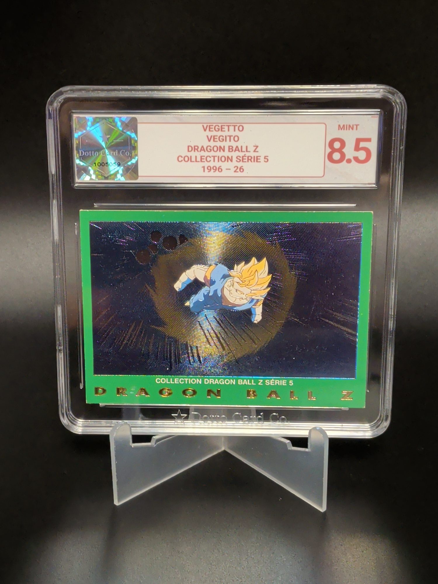 Vegetto - Vegito - 26 - 1996 — front of slab