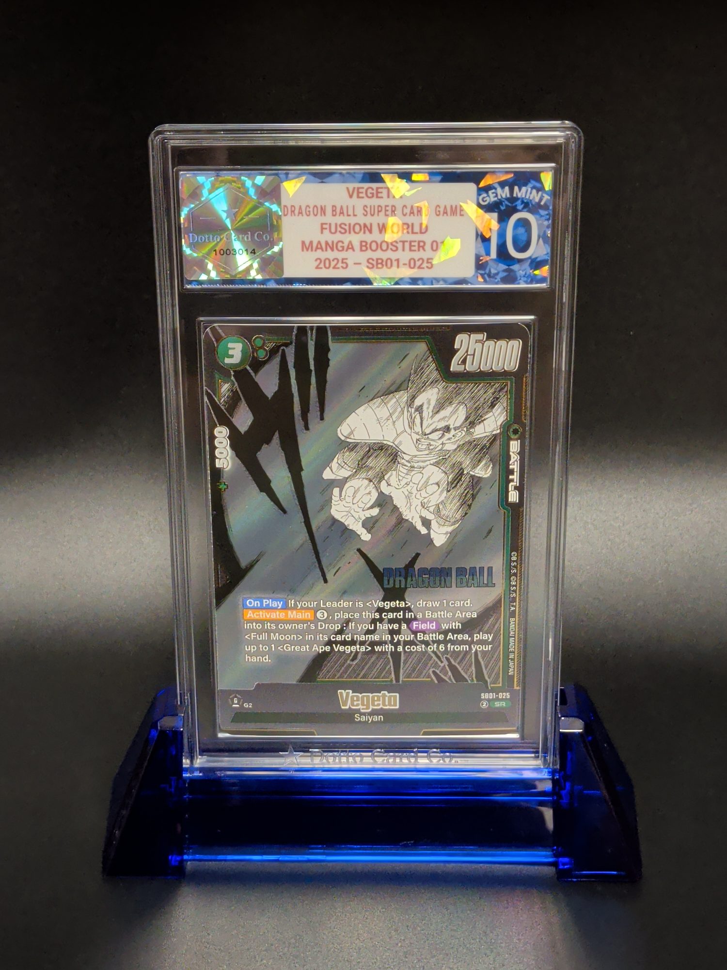Vegeta - SB01-025 - 2025 — front of slab