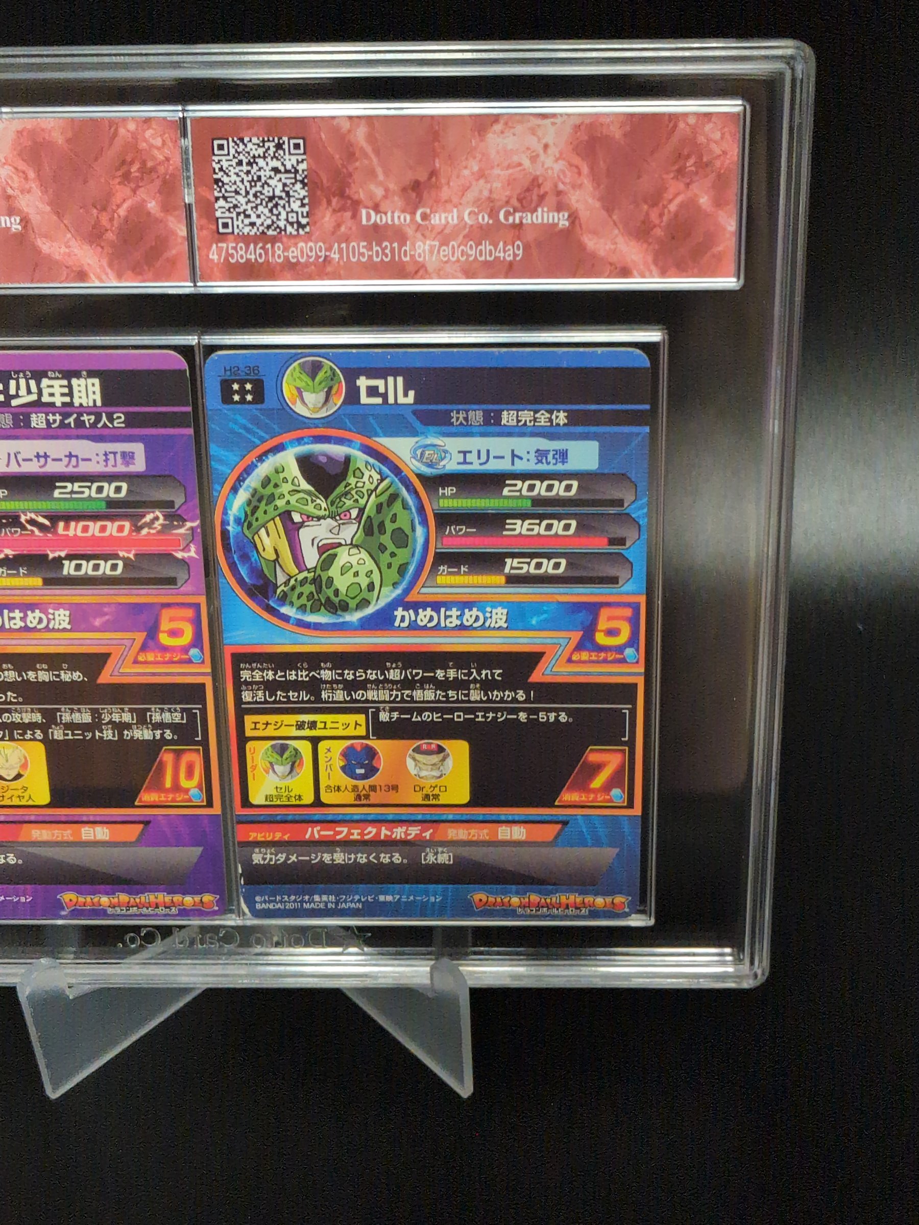 セル - Cell - H2-36 - 2011 — back of slab