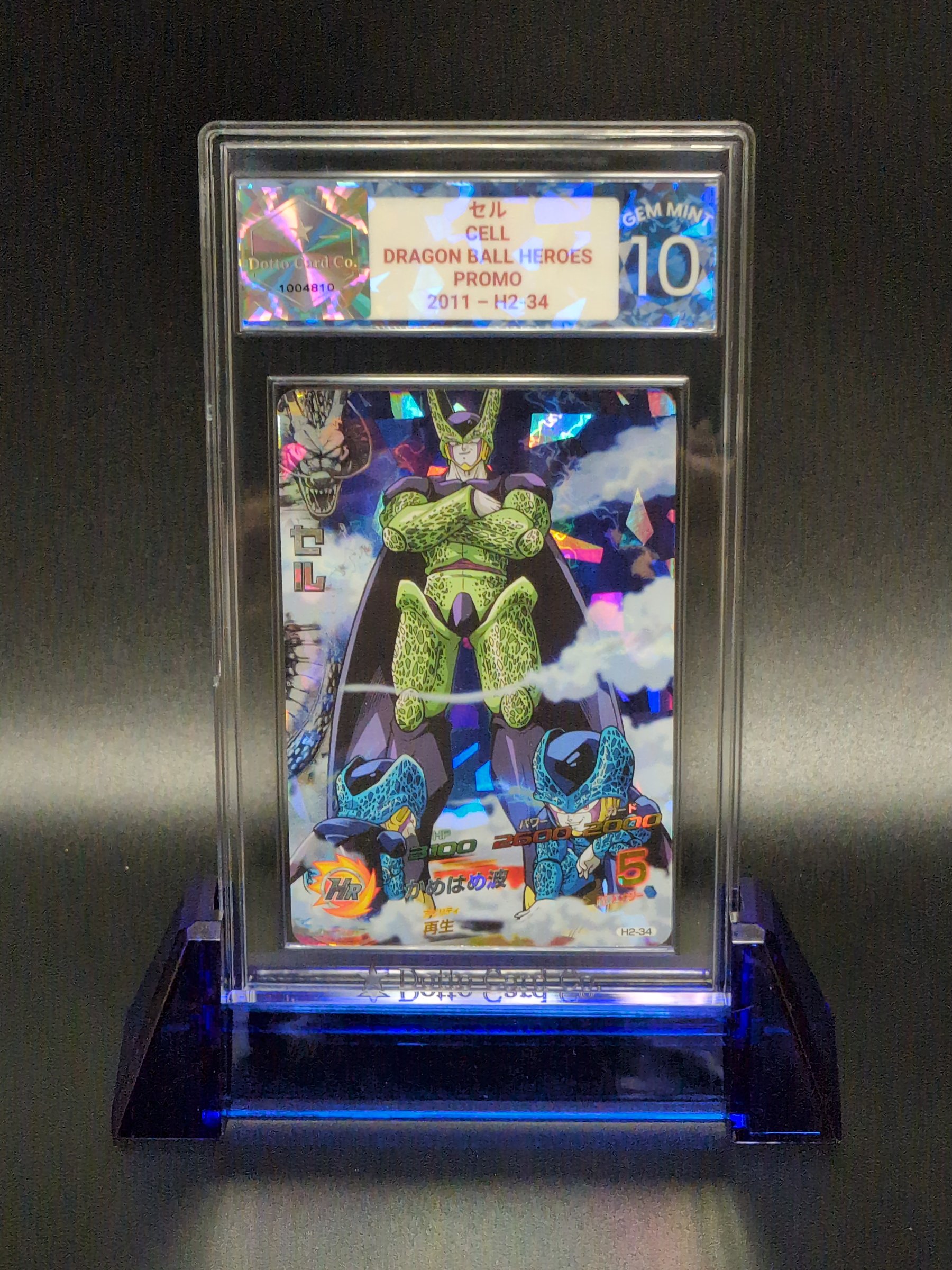セル - Cell - H2-34 - 2011 — front of slab