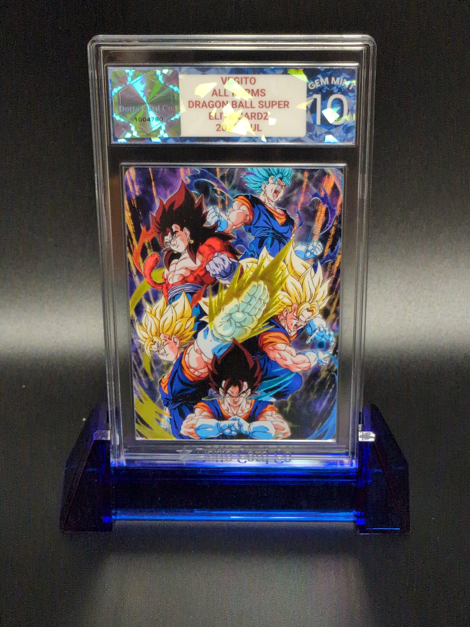 Vegito - All Forms - 2025 — front of slab