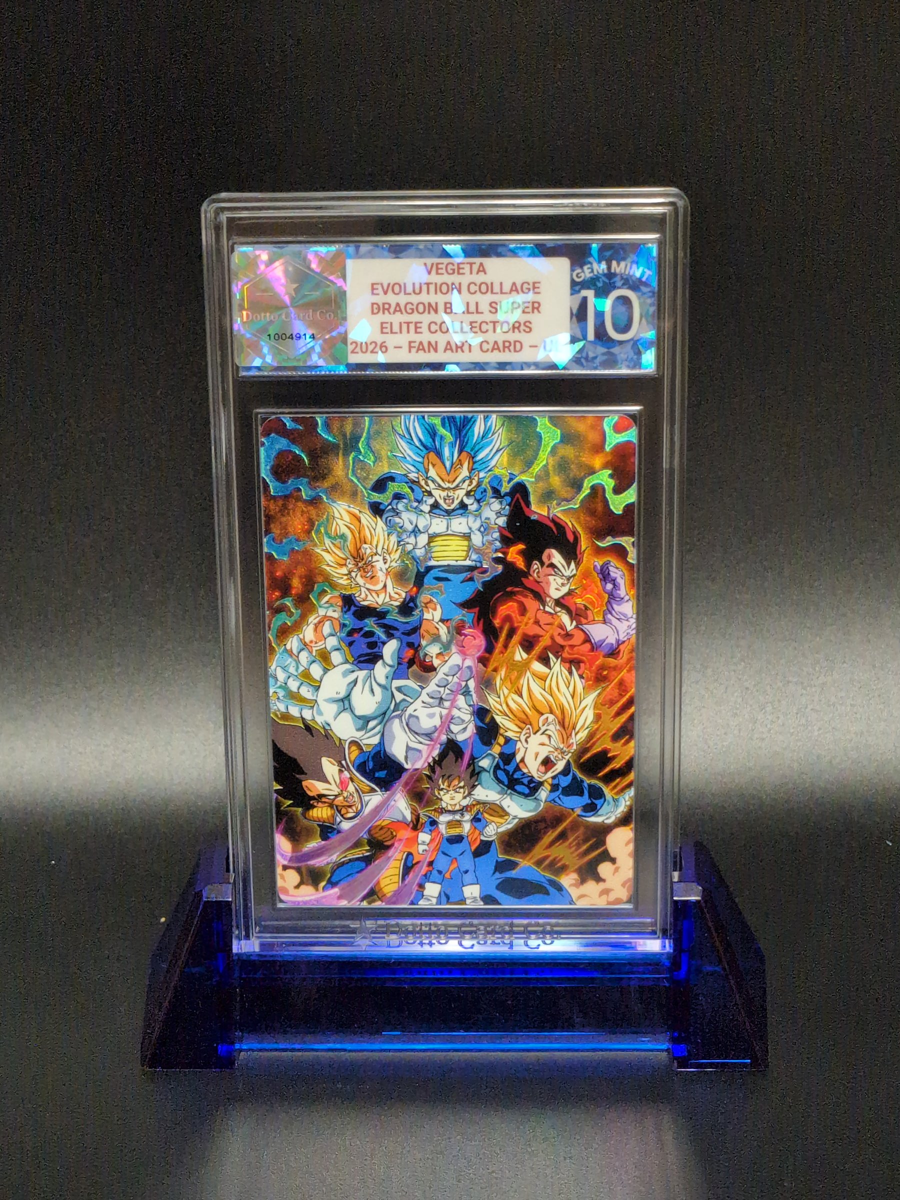 Vegeta Evolution Collage - 2026 — front of slab