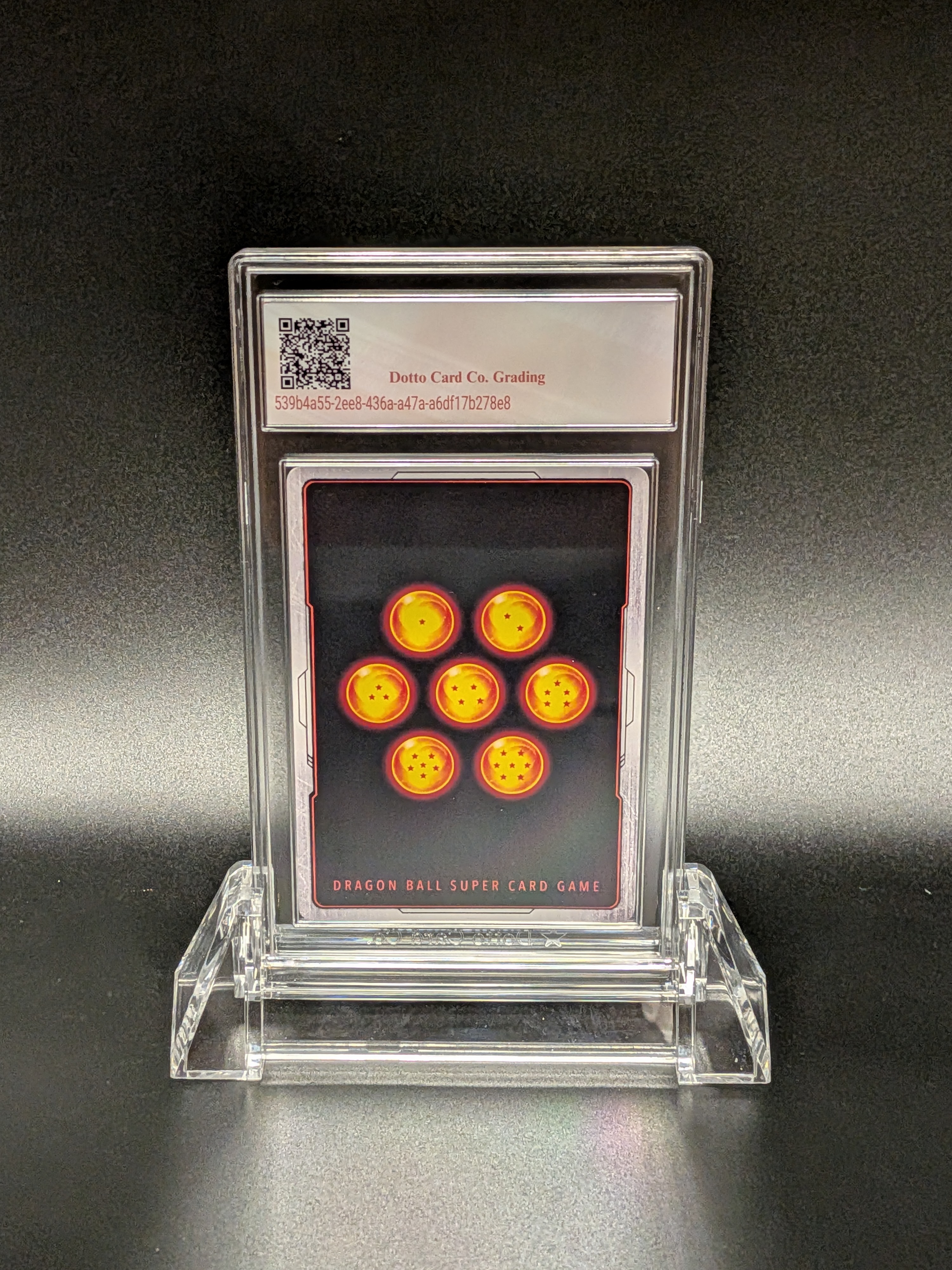 セル - Cell - Max - 2023 — back of slab